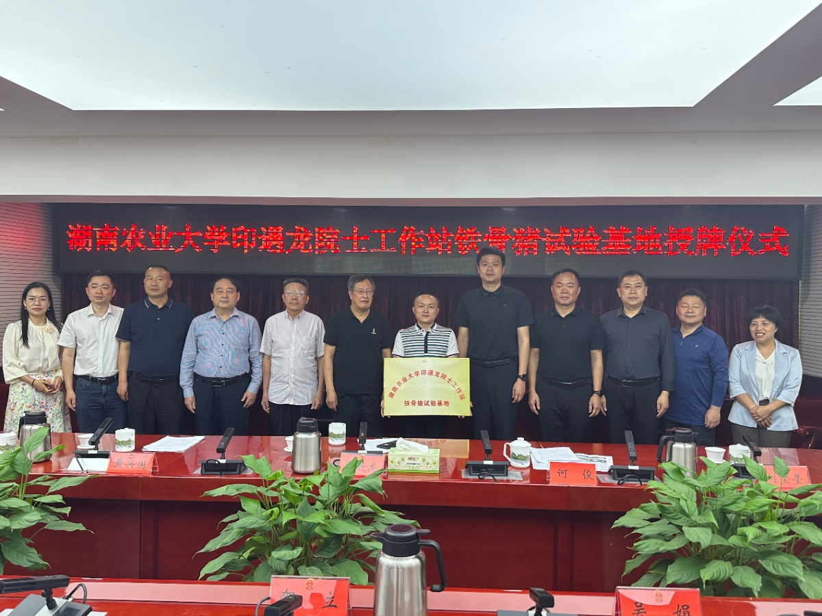 图片7.png